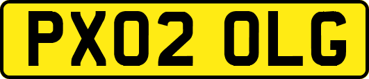 PX02OLG