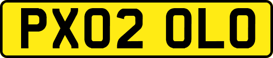 PX02OLO