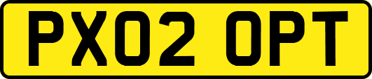 PX02OPT