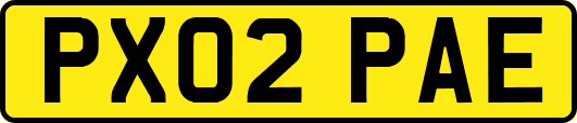 PX02PAE