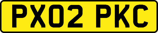 PX02PKC