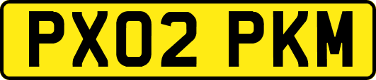 PX02PKM