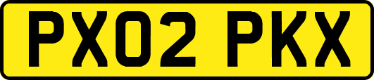 PX02PKX