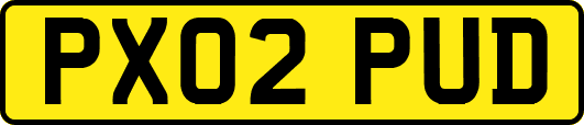 PX02PUD