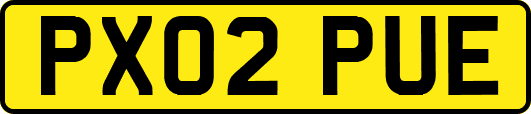 PX02PUE