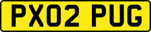 PX02PUG