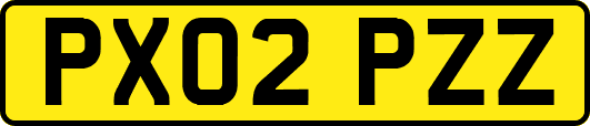 PX02PZZ