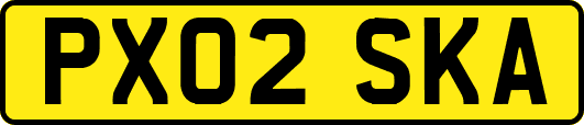 PX02SKA