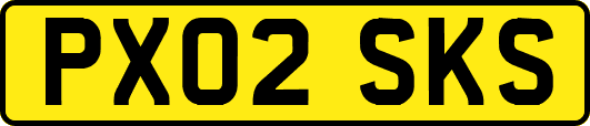 PX02SKS