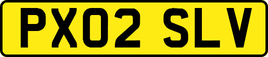 PX02SLV