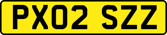 PX02SZZ