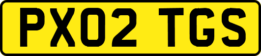 PX02TGS