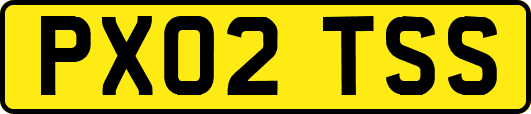 PX02TSS