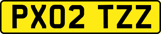 PX02TZZ