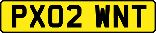 PX02WNT