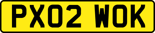 PX02WOK