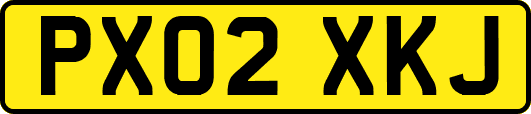 PX02XKJ
