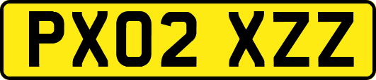PX02XZZ