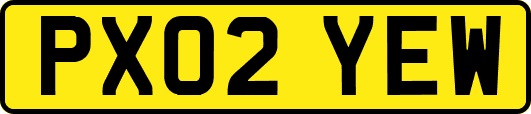 PX02YEW