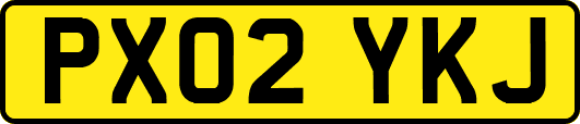PX02YKJ