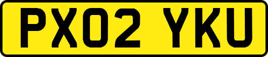 PX02YKU