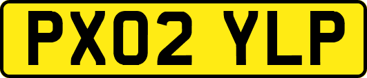 PX02YLP