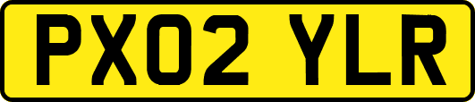 PX02YLR