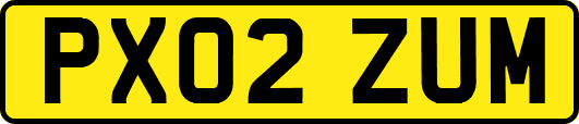 PX02ZUM
