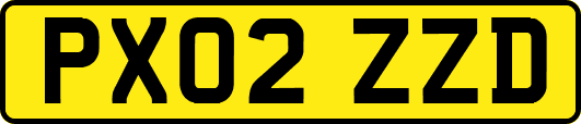PX02ZZD