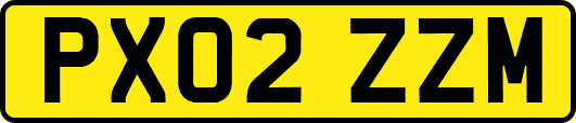 PX02ZZM
