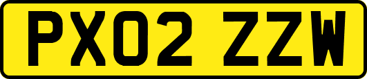 PX02ZZW