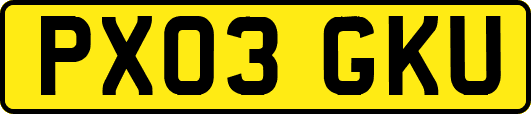 PX03GKU