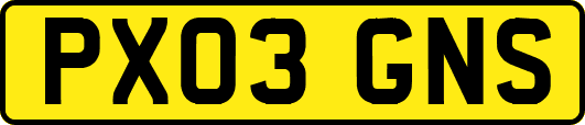 PX03GNS