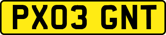 PX03GNT