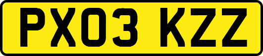PX03KZZ