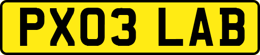 PX03LAB
