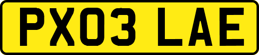PX03LAE