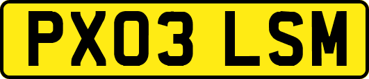 PX03LSM
