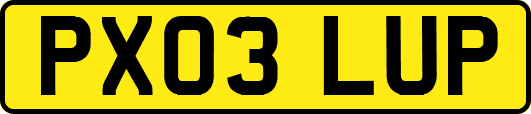 PX03LUP