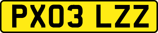 PX03LZZ