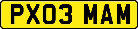 PX03MAM