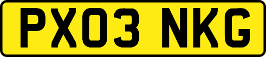 PX03NKG