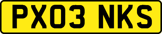 PX03NKS