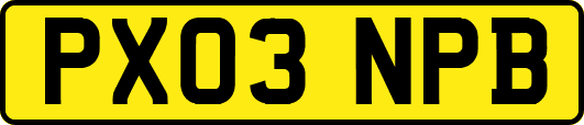 PX03NPB