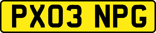 PX03NPG
