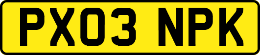 PX03NPK