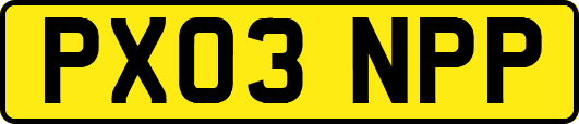 PX03NPP