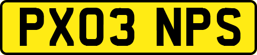 PX03NPS