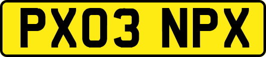 PX03NPX