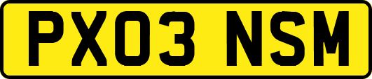 PX03NSM